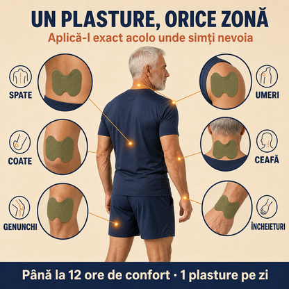 Plasturi cu pelin