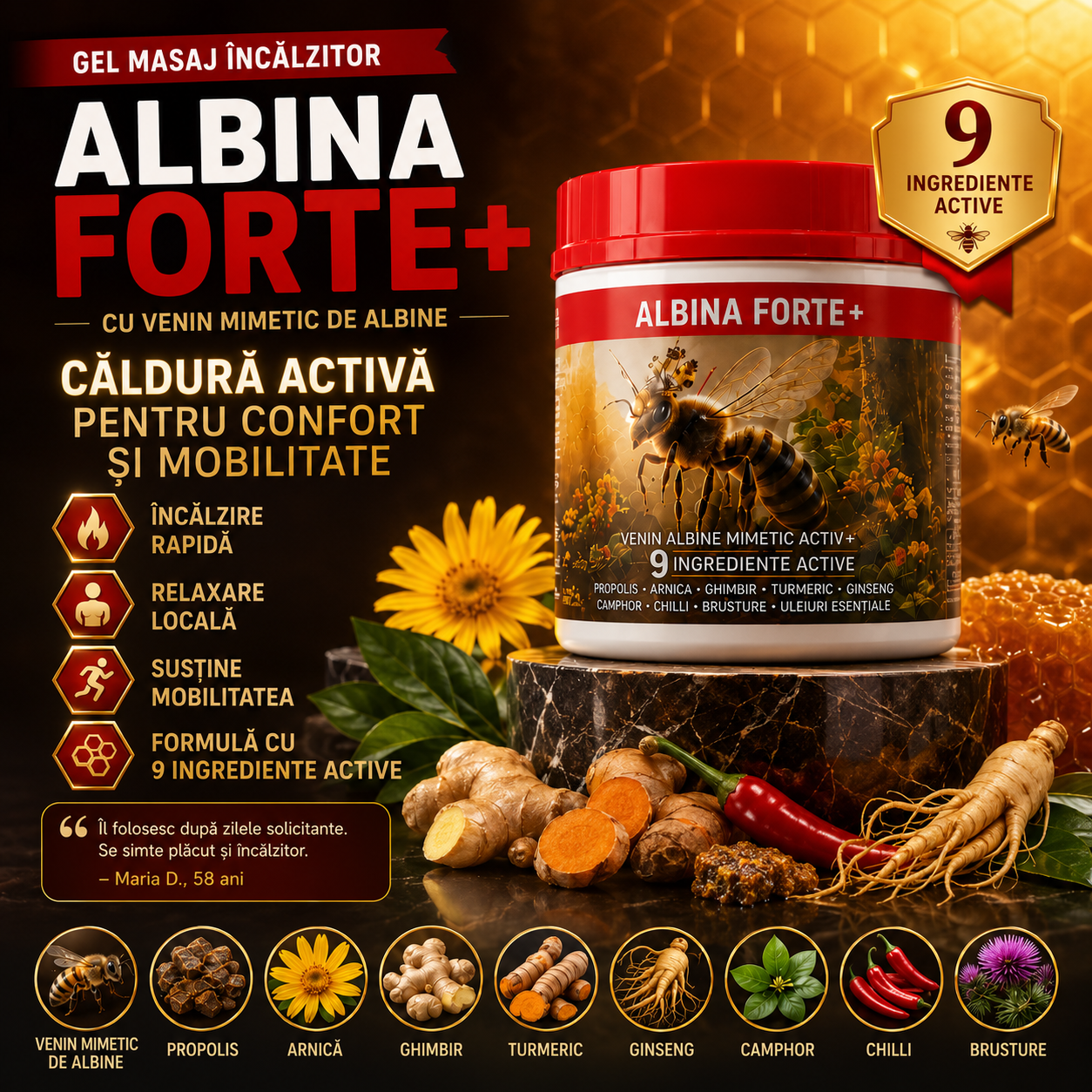 Albina FORTE+