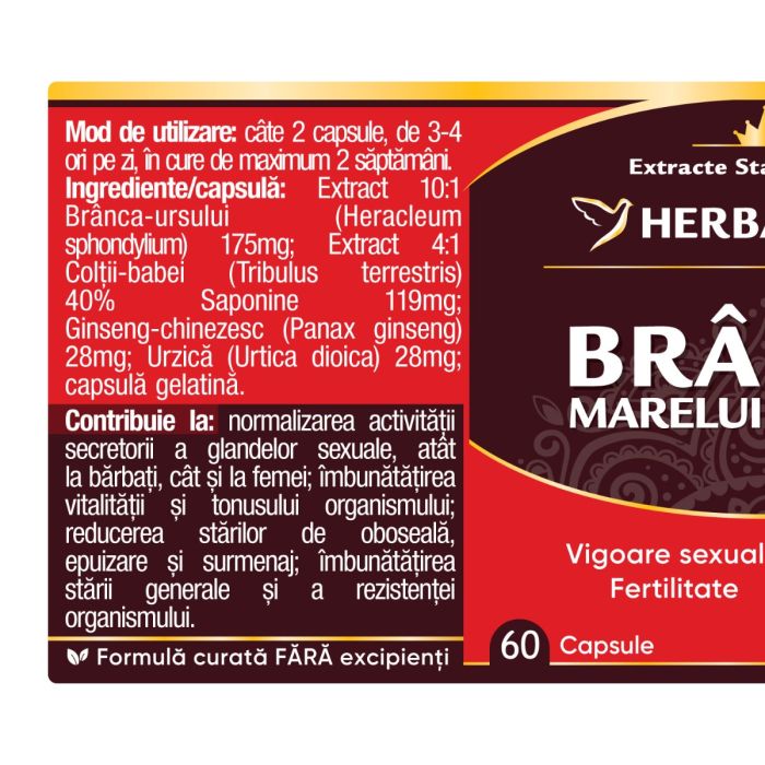 Capsule potenta - BRANCA MARELUI URS, 60 caps