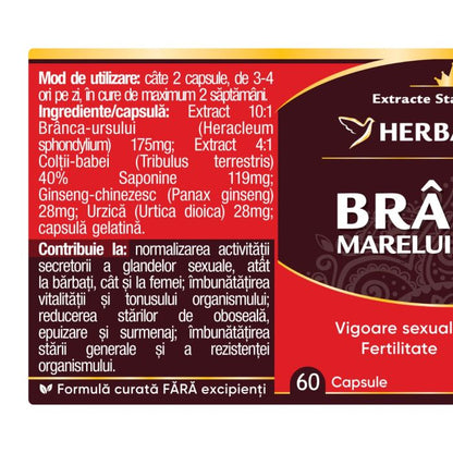Capsule potenta - BRANCA MARELUI URS, 60 caps